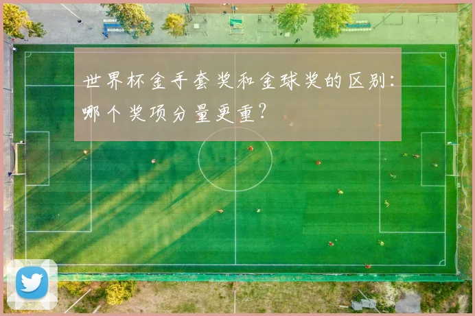 世界杯金手套奖和金球奖的区别：哪个奖项分量更重？